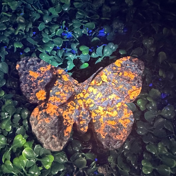 UV Reactive Yooperlite Butterfly Skull Carving - Picture 3 of 8